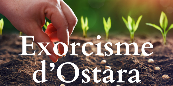 Crème Moderne Simple Voyage YouTube Miniature